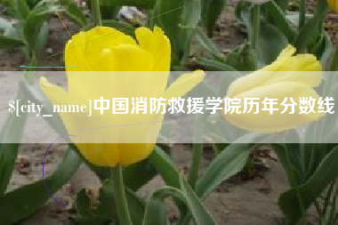 萍乡中国消防救援学院历年分数线