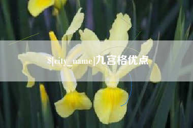 萍乡九宫格优点
