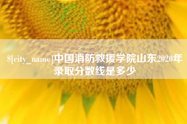 萍乡中国消防救援学院山东2020年录取分数线是多少