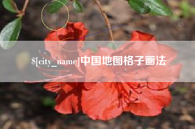 萍乡中国地图格子画法