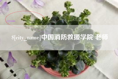 萍乡中国消防救援学院 老师