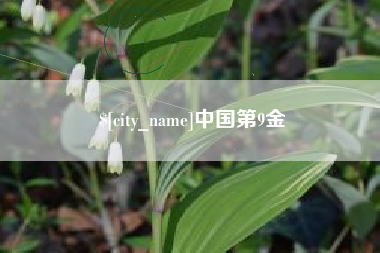 萍乡中国第9金