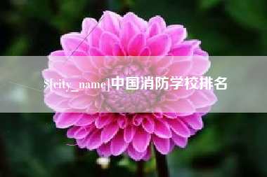 萍乡中国消防学校排名