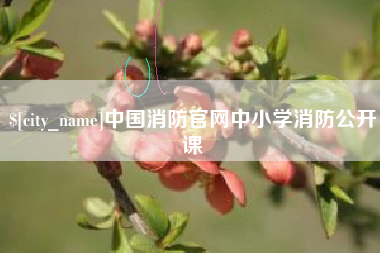 萍乡中国消防官网中小学消防公开课