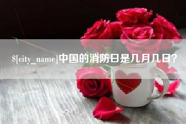 萍乡中国的消防日是几月几日？