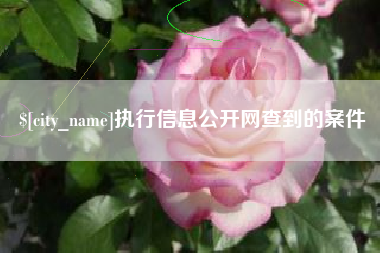 萍乡执行信息公开网查到的案件