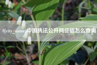 萍乡中国执法公开网征信怎么查询