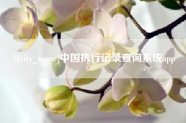 萍乡中国执行记录查询系统app
