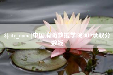 萍乡中国消防救援学院2019录取分数线