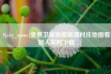 萍乡免费卫星地图高清村庄地图看到人实时下载