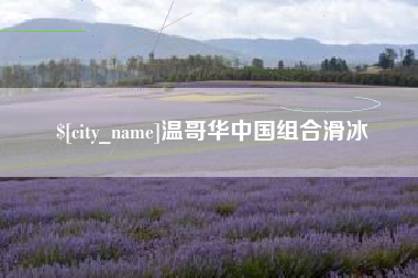 萍乡温哥华中国组合滑冰