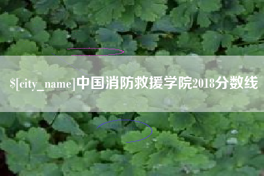 萍乡中国消防救援学院2018分数线