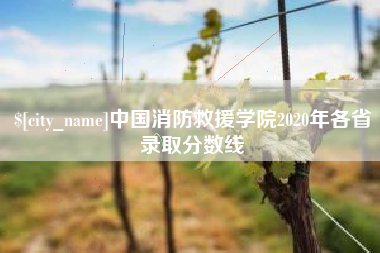 萍乡中国消防救援学院2020年各省录取分数线