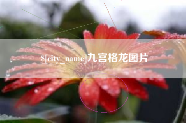 萍乡九宫格龙图片