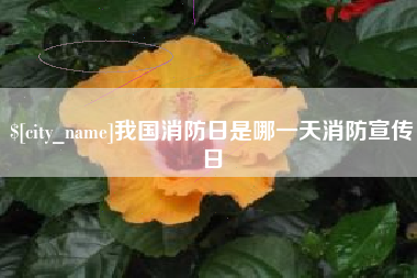 萍乡我国消防日是哪一天消防宣传日