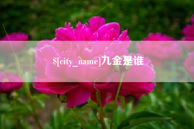 萍乡九金是谁