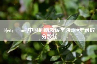 萍乡中国消防救援学院2019年录取分数线