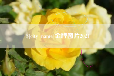 萍乡金牌图片2021