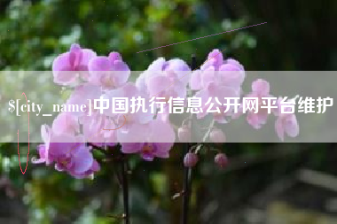 萍乡中国执行信息公开网平台维护