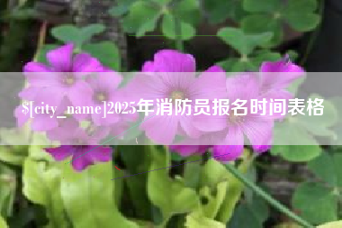 萍乡2025年消防员报名时间表格