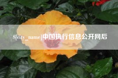 萍乡中国执行信息公开网后