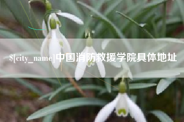 萍乡中国消防救援学院具体地址
