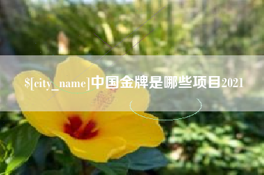 萍乡中国金牌是哪些项目2021
