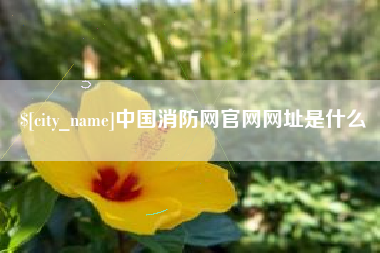 萍乡中国消防网官网网址是什么