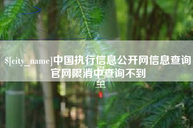 萍乡中国执行信息公开网信息查询官网限消中查询不到