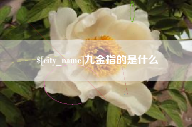 萍乡九金指的是什么