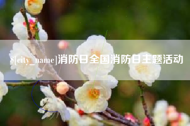 萍乡消防日全国消防日主题活动