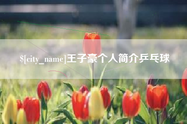 萍乡王子豪个人简介乒乓球