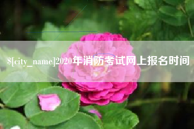 萍乡2020年消防考试网上报名时间