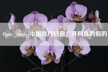 萍乡中国执行信息公开网真的假的