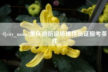 萍乡重庆消防设施操作员证报考条件