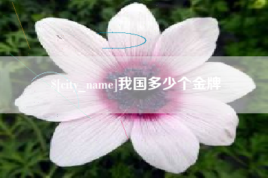 萍乡我国多少个金牌