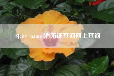 萍乡消防证查询网上查询
