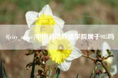 萍乡中国消防救援学院属于985吗