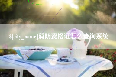 萍乡消防资格证怎么查询系统