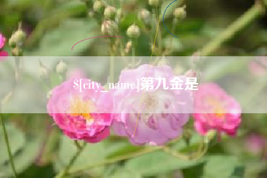 萍乡第九金是