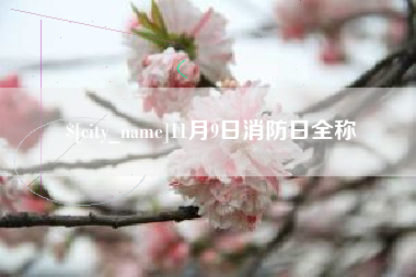 萍乡11月9日消防日全称