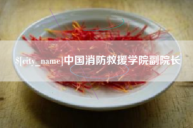 萍乡中国消防救援学院副院长
