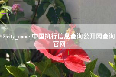 萍乡中国执行信息查询公开网查询官网