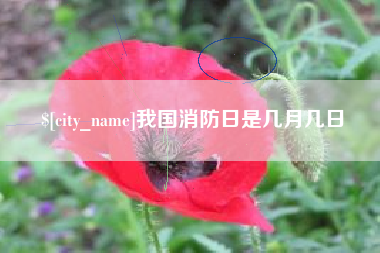 萍乡我国消防日是几月几日