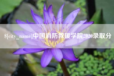 萍乡中国消防救援学院2020录取分