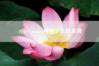 萍乡中国十九枚金牌