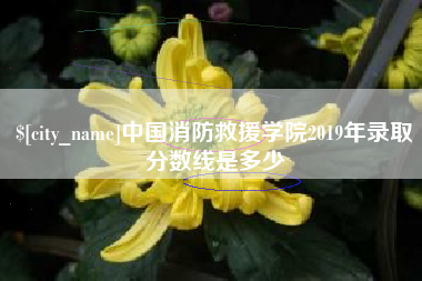 萍乡中国消防救援学院2019年录取分数线是多少