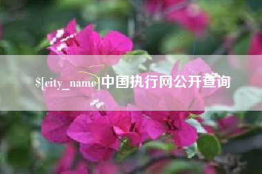 萍乡中国执行网公开查询