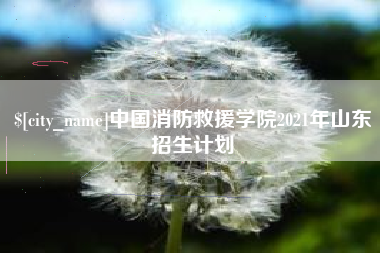 萍乡中国消防救援学院2021年山东招生计划