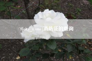 萍乡消防证的查询